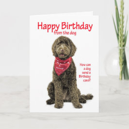 Cartão de aniversário de Labradoodle
