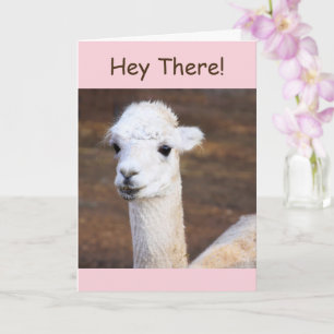 Cartão de Aniversário de Lama Feliz