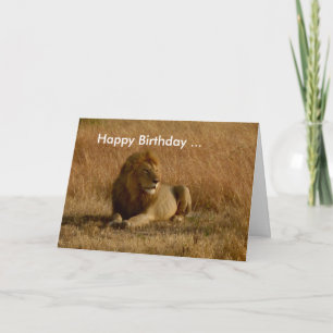 Cartão de aniversário de leão.