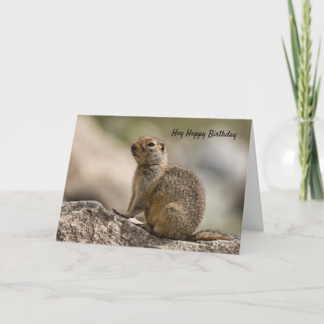 Cartão de Aniversário de Marmota (Frente)
