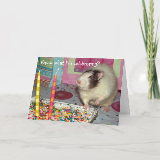 Cartão de aniversário de Ollie do rato do animal
