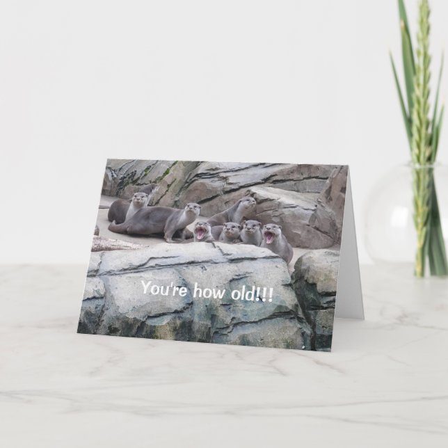 Cartão de aniversário de Otters (Frente)