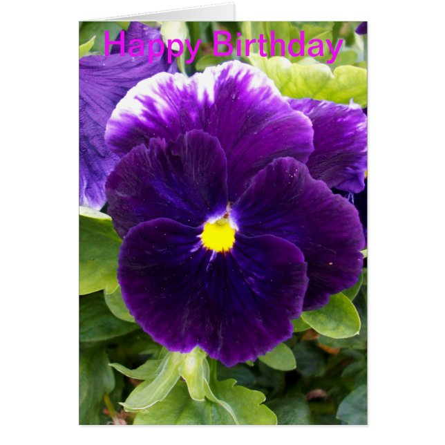 Cartão de Aniversário de Pansy Roxo Profundo (Frente)