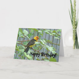 Cartão de Aniversário de Pássaro Tanager Ocidental