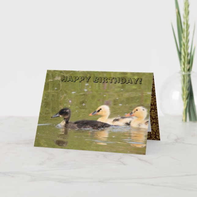 Cartão de Aniversário de Patos Bonitos (Frente)