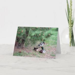 Cartão de Aniversário de Patos e Pinheiros com Bíb