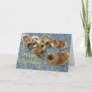 Cartão de Aniversário de Pequinês