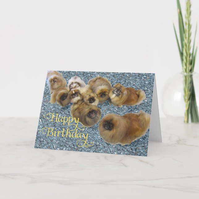 Cartão de Aniversário de Pequinês (Frente)