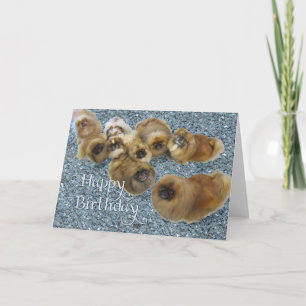 Cartão de Aniversário de Pequinês