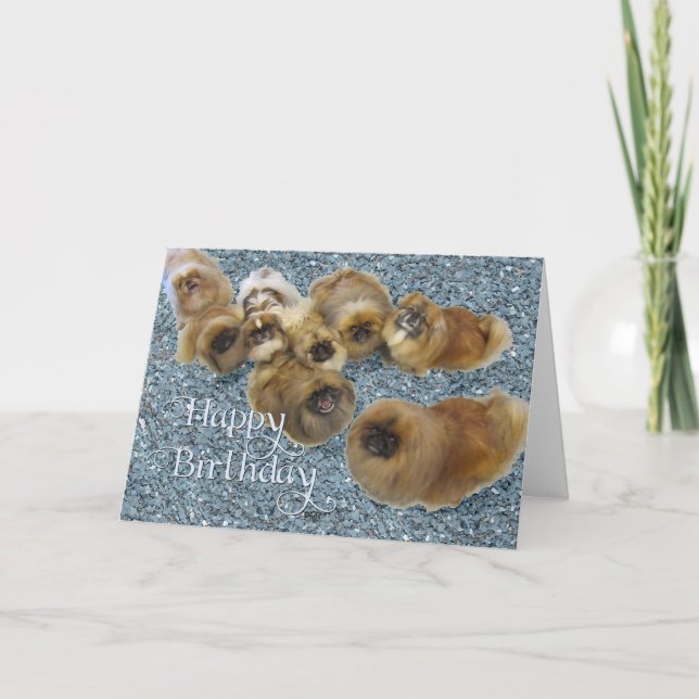 Cartão de Aniversário de Pequinês (Frente)