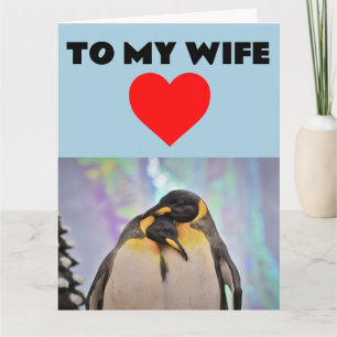 CARTÃO DE ANIVERSÁRIO DE PINGUIM PARA MULHER