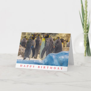 Cartão de aniversário de pinguins no zoológico