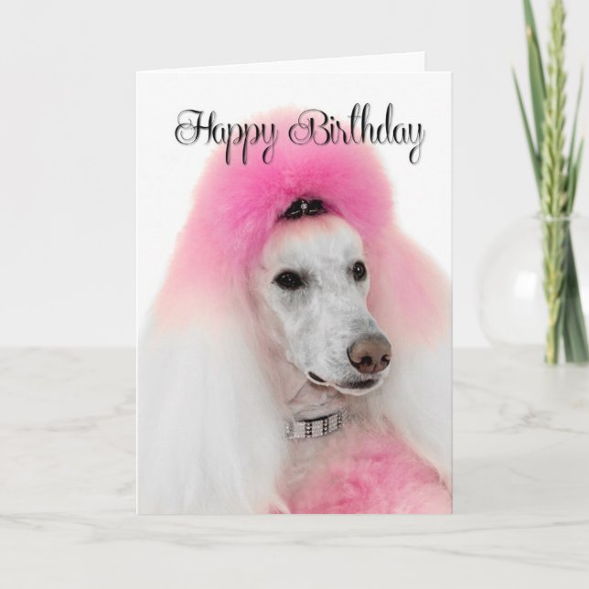 Cartão de Aniversário de Poodle Rosa (Frente)