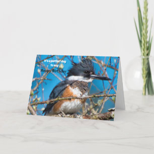 Cartão de Aniversário de Pose de Pássaro em Greve