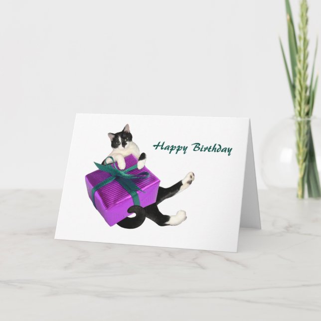 Cartão de aniversário de presente para gatos branc (Frente)