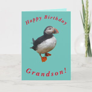 Cartão de aniversário de Puffin bonito para o neto