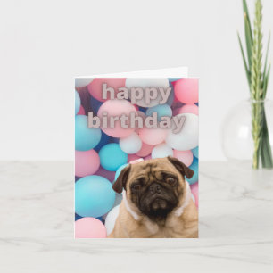 cartão de aniversário de pug