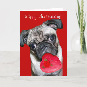 Cartão de aniversário de Pug feliz