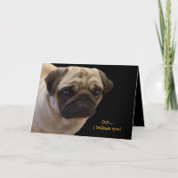 Cartão de Aniversário de Pug Humorístico