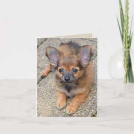 Cartão de Aniversário de Puppy Puppy de Cabelo Lon