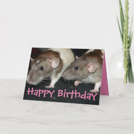 Cartão de aniversário de ratos fêmeas encapuzados