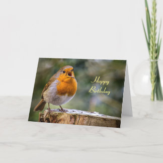 Cartão de aniversário de robin Erithacus rubecula