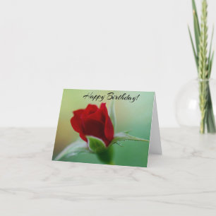 Cartão de aniversário de Rosa vermelha Elegance Cl