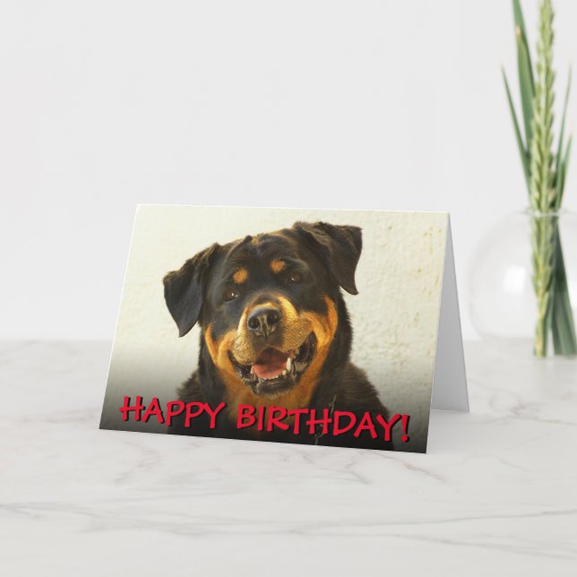 Cartão de aniversário de Rottweiler (Frente)