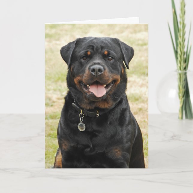 Cartão de aniversário de Rottweiler (Frente)
