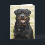 Cartão de aniversário de Rottweiler<br><div class="desc">Cartão de aniversário de Rottweiler. o cumprimento lê "a respiração do cão do feliz aniversario!" Adicione sua própria mensagem.</div>