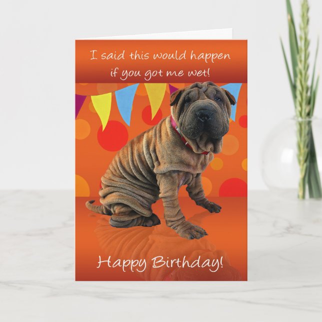 Cartão De Aniversário De Shar Pei Divertido Com Hu (Frente)