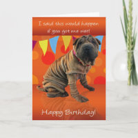 Cartão De Aniversário De Shar Pei Divertido Com Hu