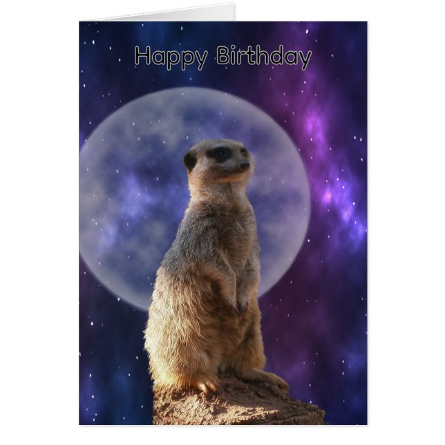 Cartão de Aniversário de Suricata sob Lua Cheia Az (Frente)