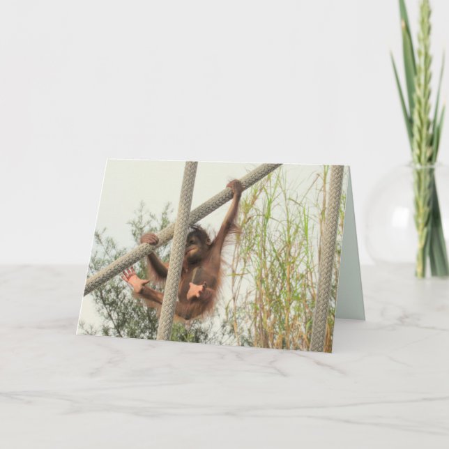 Cartão de aniversário de Swing Baby Orangutan (Frente)