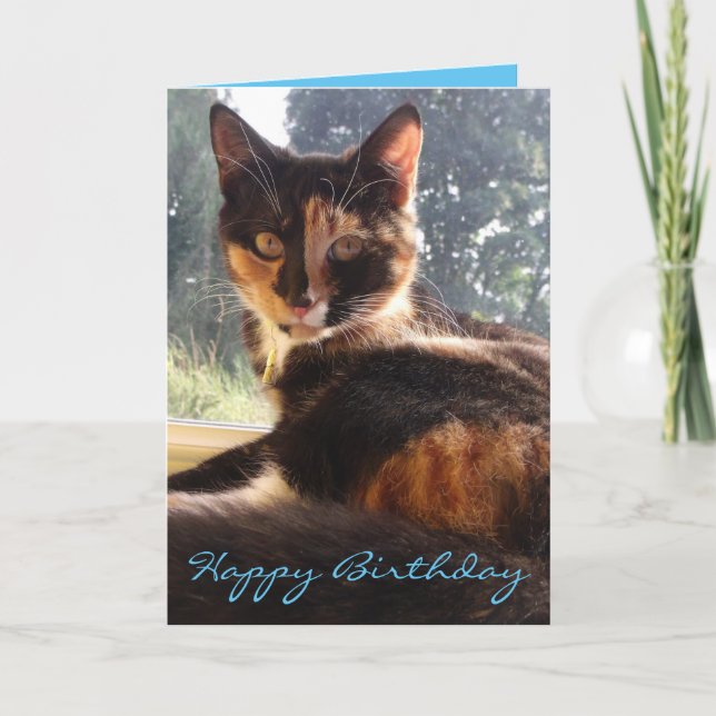 cartão de aniversário de tortie (Frente)