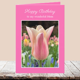 Cartão de Aniversário de Tulipa Rosa para Mãe ou M