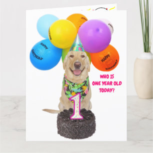 Cartão de Aniversário de Um Ano de Pet Bonito