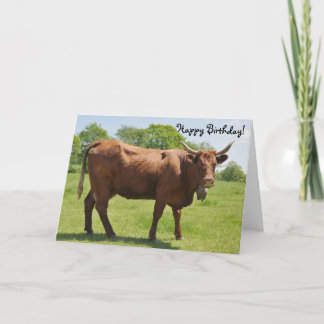 Cartão de aniversário de vaca