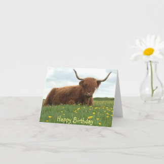 Cartão de Aniversário de Vaca Highland