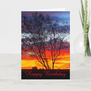 Cartão de aniversário de vazio Silhub Julia Creek