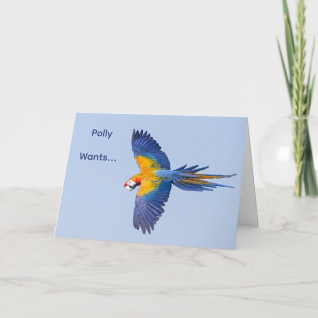 Cartão de Aniversário de Voo Macaw (Frente)