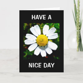 Cartão de Aniversário Desejando um Bom Dia