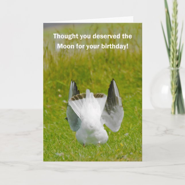 Cartão de aniversário divertido - Cabeça de cabra (Frente)