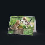 Cartão de aniversário do amigo<br><div class="desc">Cartão de aniversário do amigo.</div>