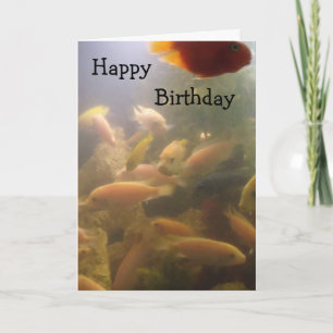 Cartão de Aniversário do Aquário
