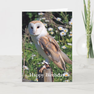Cartão de Aniversário do Barn Owl