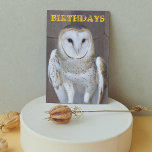 Cartão de Aniversário do Barn Owl Fotografia Engra<br><div class="desc">Cartão de aniversário para todos os que mostram a imagem de uma Coruja-de-Barn empoleirada,  junto com um dentro de saudação de aniversário humorístico. Selecione entre um cartão de estilo mate ou brilhante.</div>