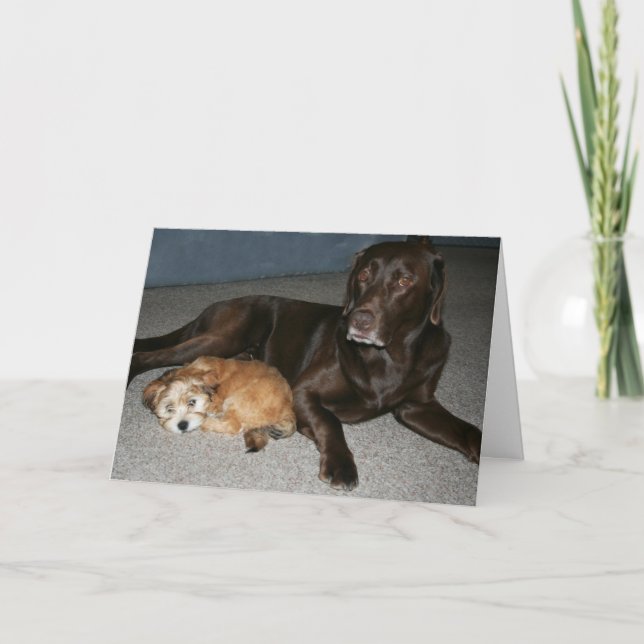 Cartão de aniversário do big brother (Frente)