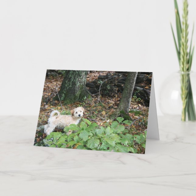 Cartão de aniversário do cachorrinho (Frente)