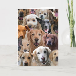 Cartão de Aniversário do Cão